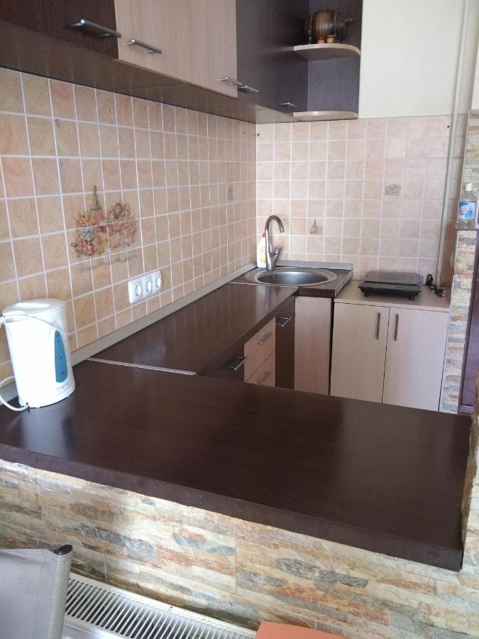 Alexandra 'S Studio Apartman Brassó Kültér fotó